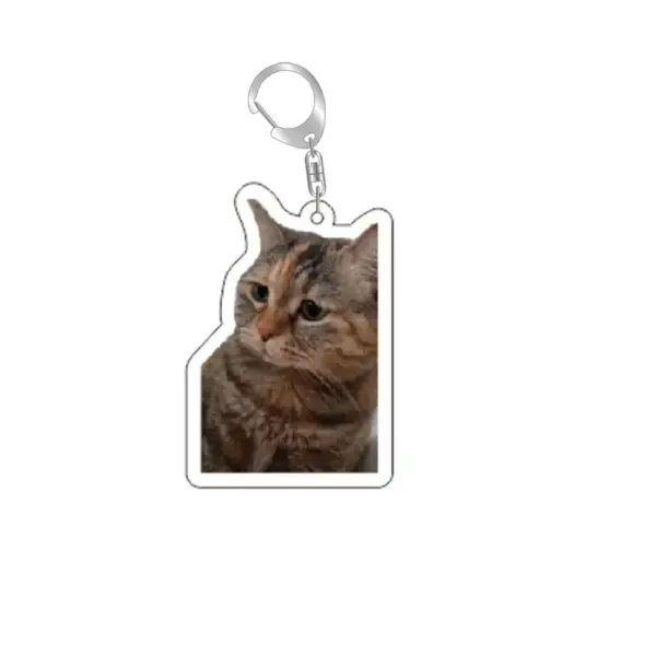 Geschenke für Katzenliebhaber: Schlüsselanhänger Katzenfoto – Bild 12