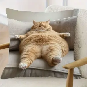 Geschenke für Katzenliebhaber: Kissenbezug dicke Katze – Orange