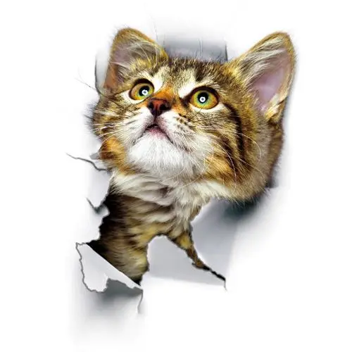 Geschenke für Katzenliebhaber: 3D-Wandsticker mit Katzen im Loch – Bild 6