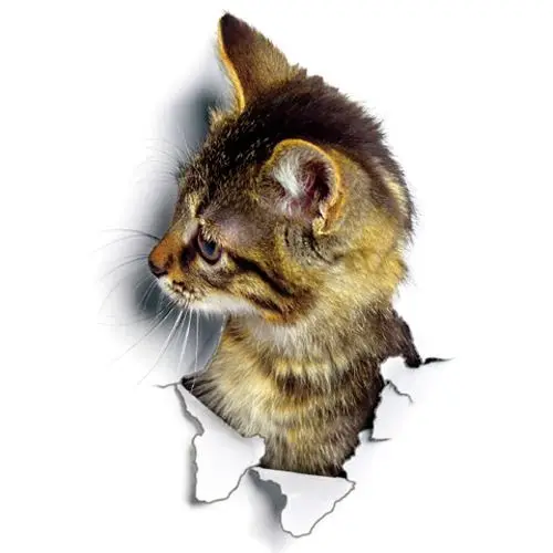 Geschenke für Katzenliebhaber: 3D-Wandsticker mit Katzen im Loch – Bild 7