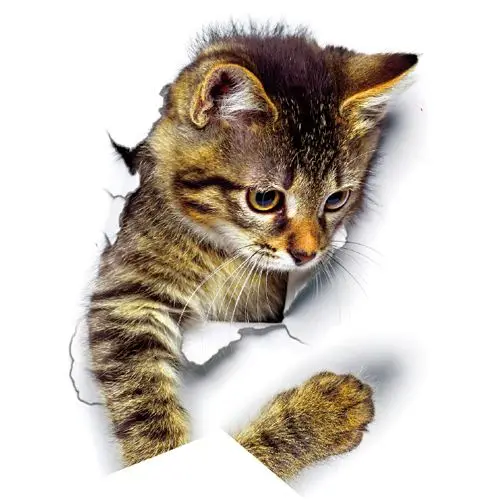 Geschenke für Katzenliebhaber: 3D-Wandsticker mit Katzen im Loch – Bild 8